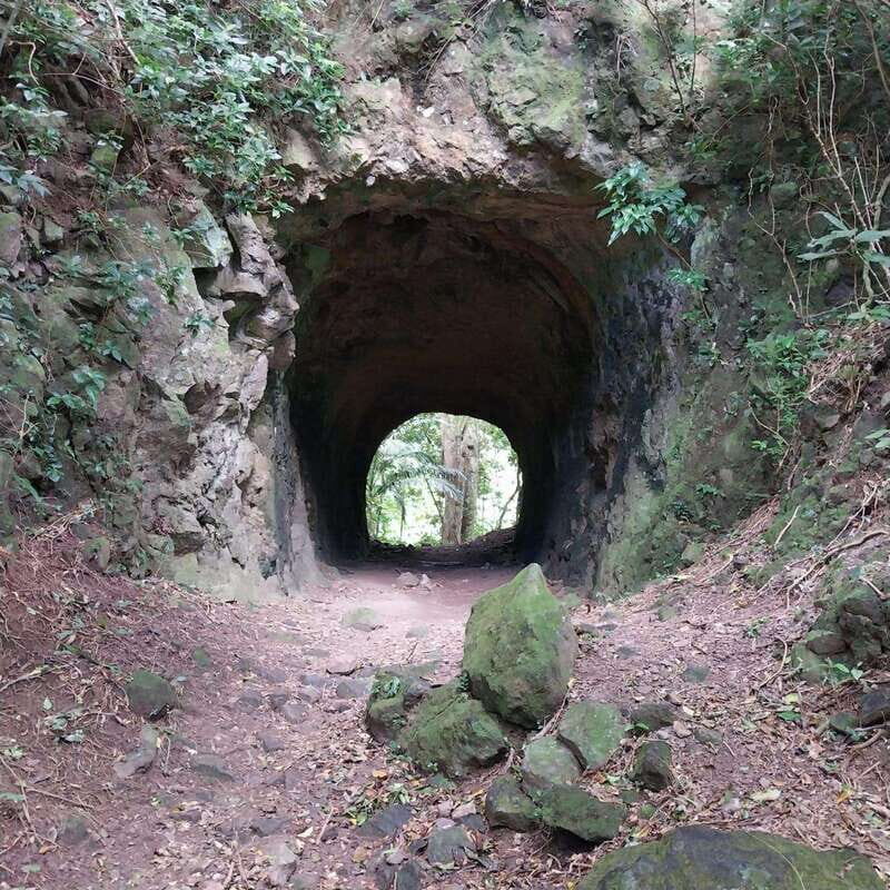 Wild Immersion : Hiking in the Heart of the Tropical Forest - Key Points