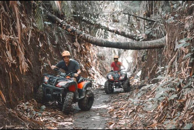 Wild Jungle Expedition: Jungle Hopper & Quad ATV Adventure - Wild Jungle Expedition: Jungle Hopper & Quad ATV Adventure – A Detailed Review
