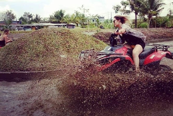 Wild Jungle Expedition: Jungle Hopper & Quad ATV Adventure - An In-Depth Look at the Wild Jungle Expedition