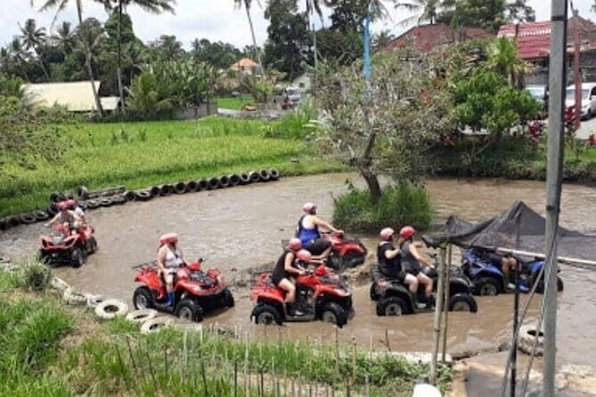 Wild Jungle Expedition: Jungle Hopper & Quad ATV Adventure - FAQ