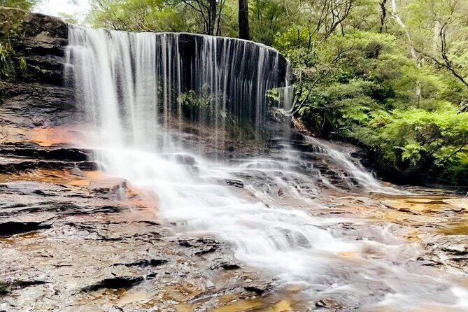 Wild Kangaroos, Blue Mountains and a Cruise - An In-Depth Look at the Itinerary