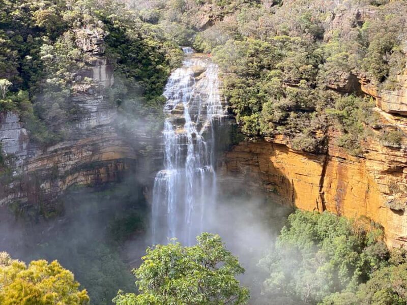 Wild Kangaroos & Blue Mountains private tour - Final Thoughts