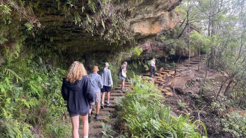 Wild Kangaroos & Blue Mountains private tour - FAQs