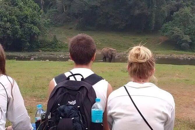 Wild Life Anakulam Jeep Safari - Dive Into the Details: What to Expect on the Tour