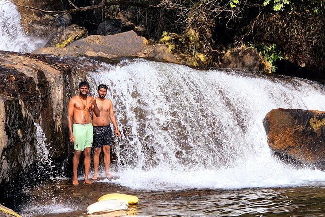 Wild Life Anakulam Jeep Safari - FAQ
