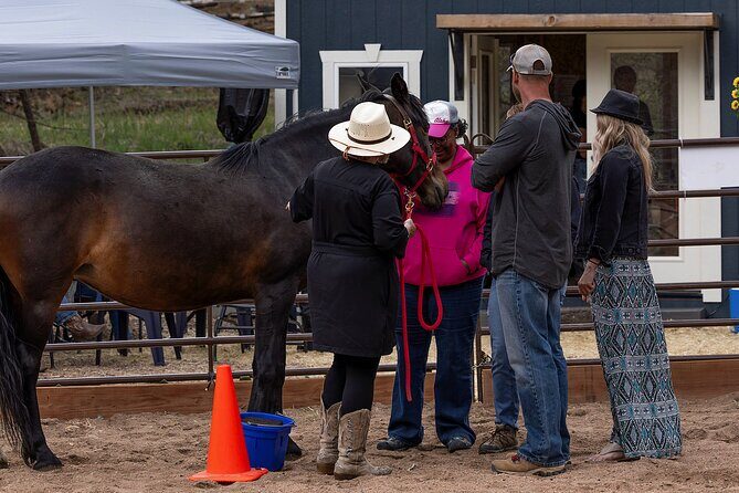 Wild Mustang Experience Near Colorado Springs - The Setting and Logistics
