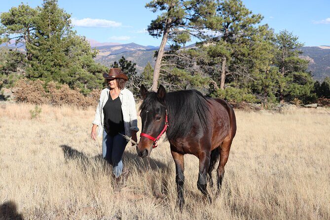 Wild Mustang Experience Near Colorado Springs - Analyzing the Value