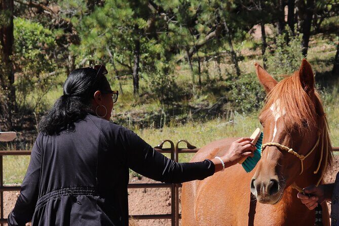 Wild Mustang Experience Near Colorado Springs - Who Is This Tour Best For?