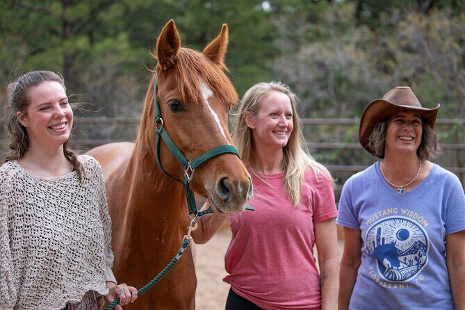 Wild Mustang Experience Near Colorado Springs - The Sum Up