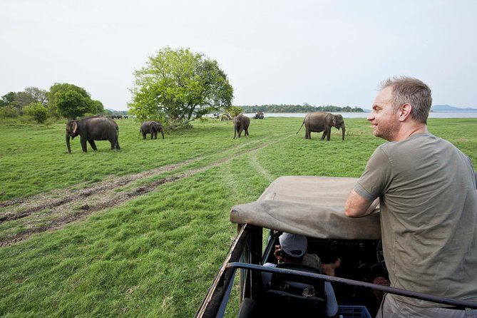 Wild Safari Udawalawe from Bentota - Authentic Traveler Insights