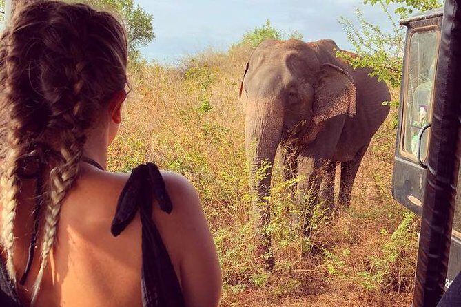 Wild Safari Udawalawe from Bentota - FAQ