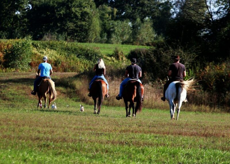 Wild Spring Ranch near Plitvice Lakes, Croatia, Horse Riding - Key Points