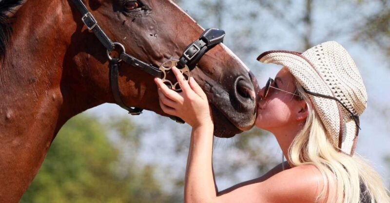 Wild Spring Ranch near Plitvice Lakes, Croatia, Horse Riding - An Authentic Countryside Escape with Horse Riding