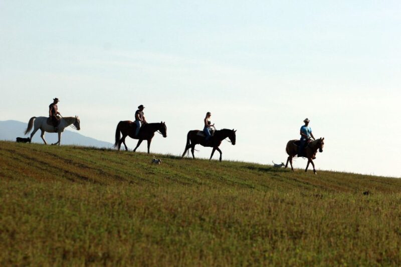 Wild Spring Ranch near Plitvice Lakes, Croatia, Horse Riding - Why This Experience Is Worth Considering