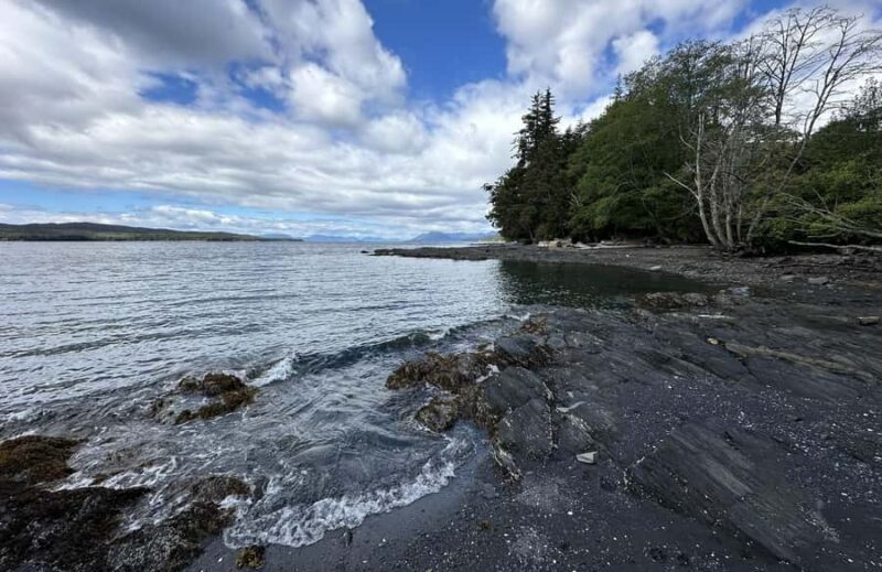 Wild Wolf Tour - 2 Hr - The Value of the Wild Wolf Tour