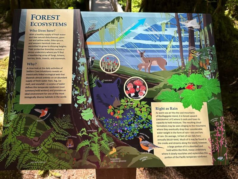 Wild Wolf Tour - 2 Hr - Frequently Asked Questions