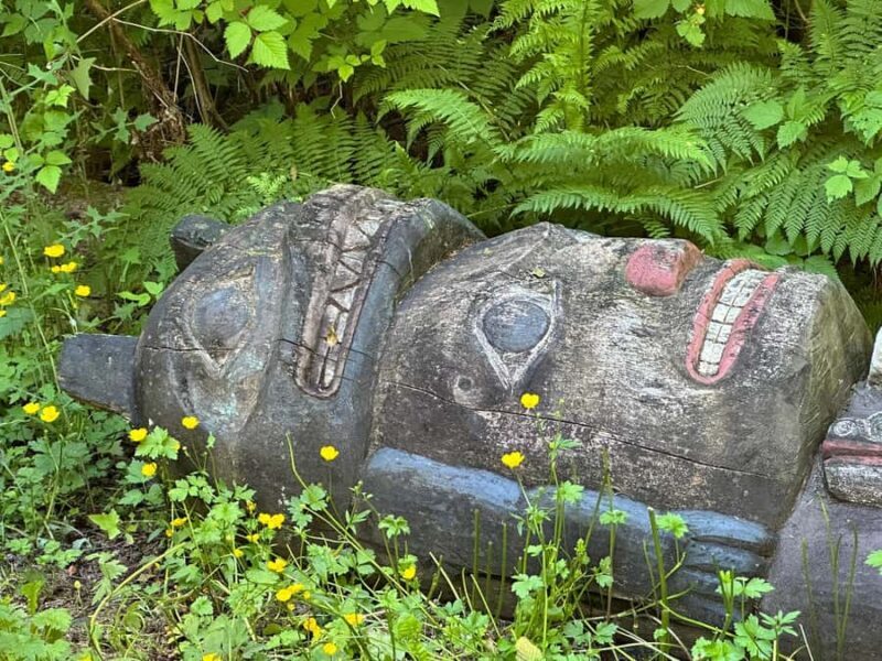 Wild Wolf Tours - 3 hour - A Walk into the World’s Largest Temperate Rainforest