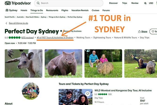 WILD Wombat and Kangaroo Day Tour, All Inclusive - The Itinerary Breakdown: What to Expect
