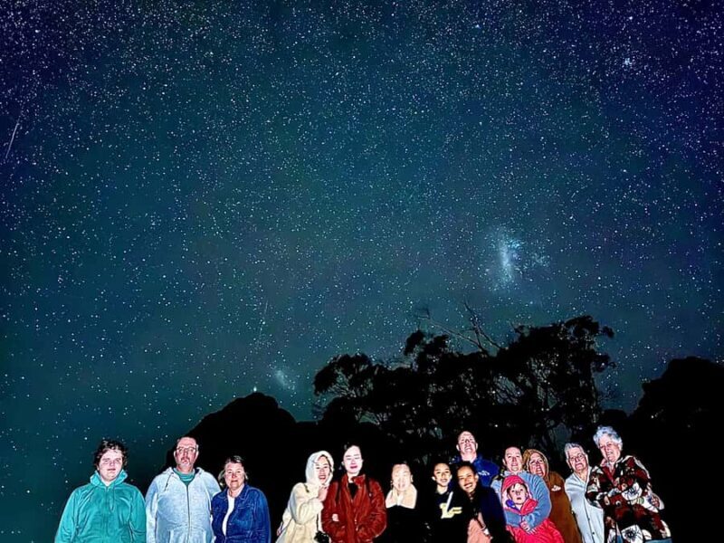 WILD Wombats and Kangaroo Experience, All Inclusive, Sydney - Key Points