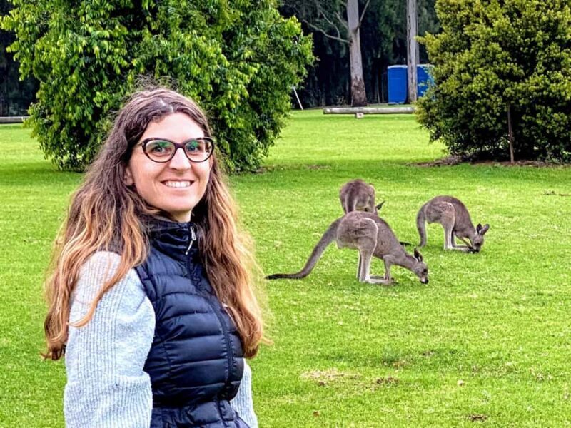 WILD Wombats and Kangaroo Experience, All Inclusive, Sydney - An In-Depth Look at the Experience