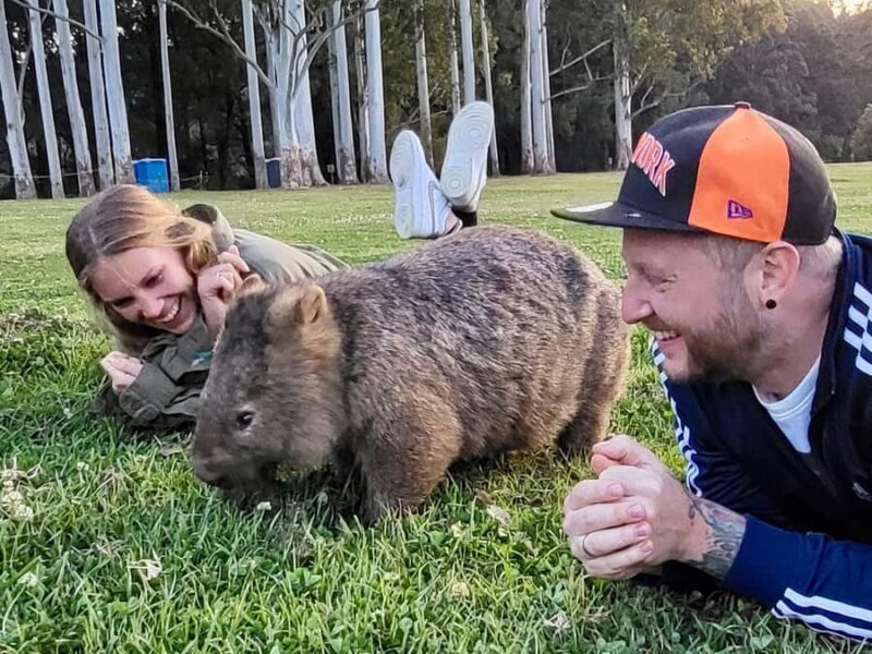 WILD Wombats and Kangaroo Experience, All Inclusive, Sydney - FAQs
