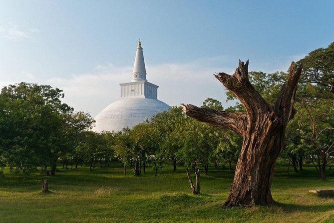 Wild Wonders and Sacred Spaces Tour from Hikkaduwa (2 Days) - Key Points