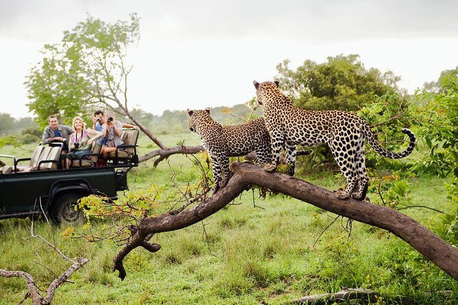 Wild Wonders Of Sri Lanka | 7 Days - Wild Wonders Of Sri Lanka | 7 Days Review