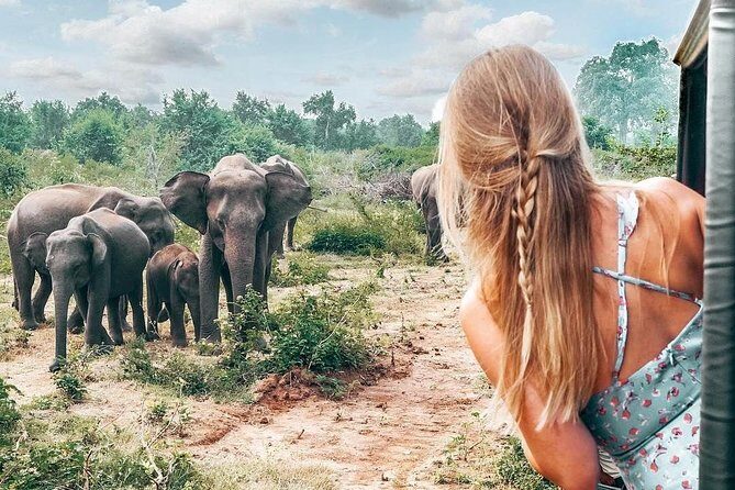 Wild Wonders Of Sri Lanka | 7 Days - Who Would Love This Tour?