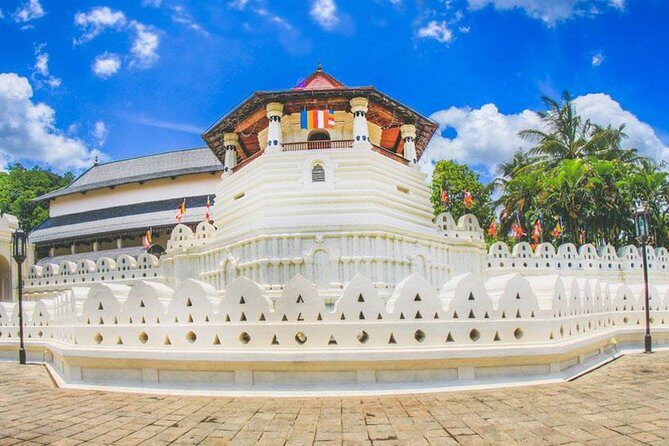 Wild Wonders Of Sri Lanka | 7 Days - The Sum Up
