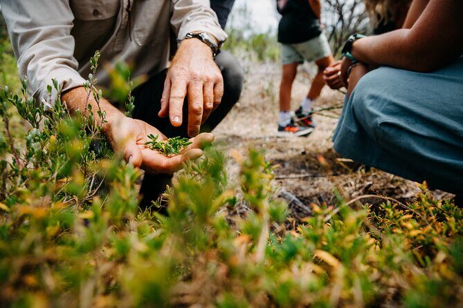 Wild Yarnbala - Who Will Love This Tour?