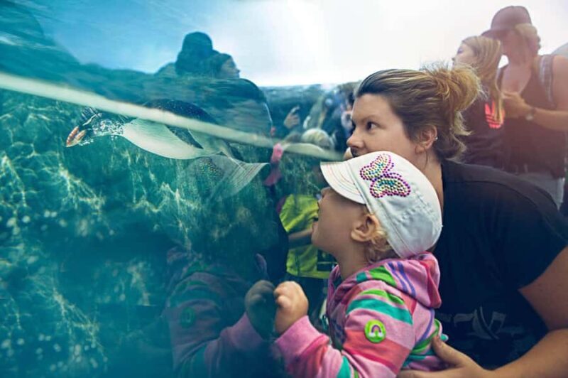 Wilder Institute/Calgary Zoo Entry Ticket - Value and Overall Impression