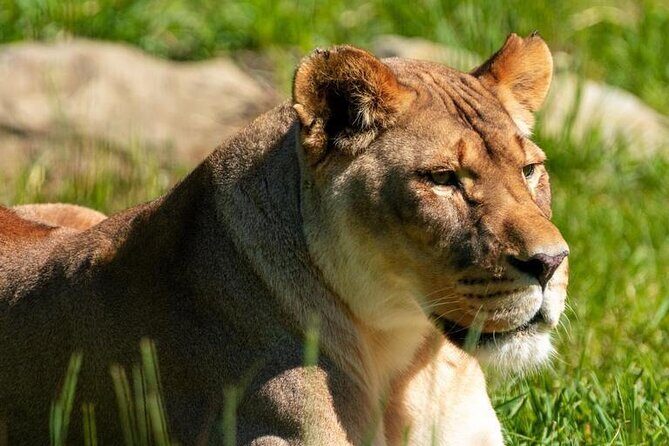 Wilder Institute/Calgary Zoo: Entry Ticket - Who Will Love This Experience?