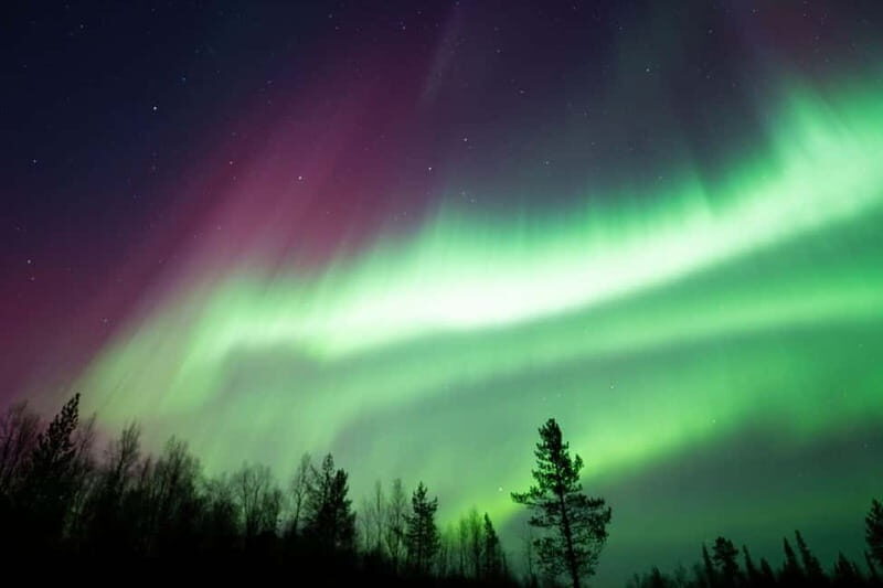 Wilderness Adventure by Snowmobile Sleigh - Key Points