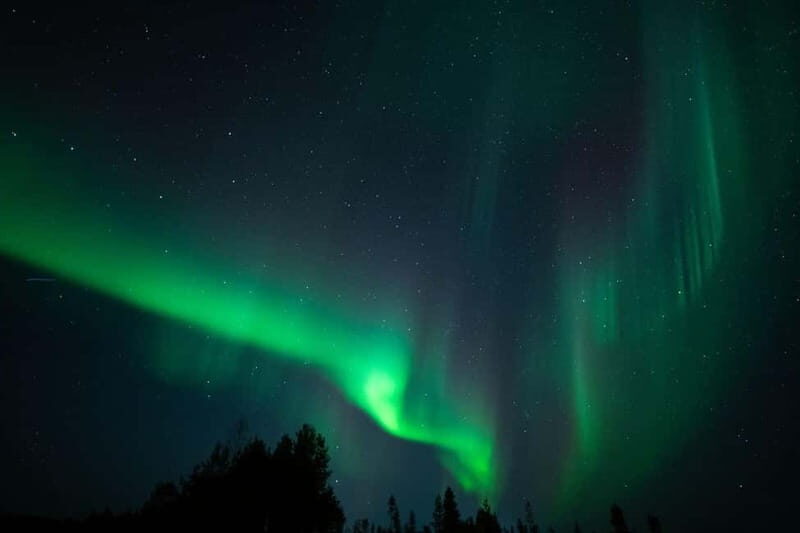 Wilderness Adventure by Snowmobile Sleigh - An In-Depth Look at the Wilderness Adventure by Snowmobile Sleigh