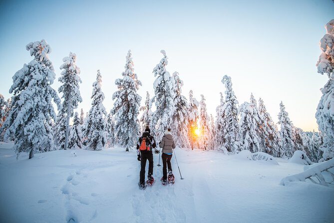Wilderness snowshoe adventure - Wilderness Snowshoe Adventure in Rovaniemi: An Authentic Arctic Experience