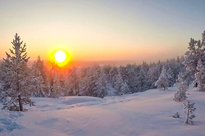 Wilderness Survival Tour - Winter - Building Fire and Outdoor Cooking Skills