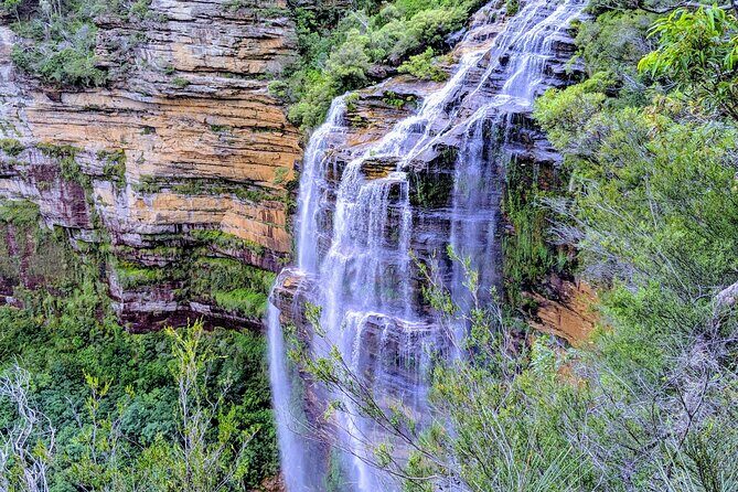 Wilderness, Waterfalls, Three Sisters BLUE MOUNTAINS PRIVATE TOUR - Exploring the Wilderness, Waterfalls, and the Iconic Three Sisters on a Blue Mountains Private Tour