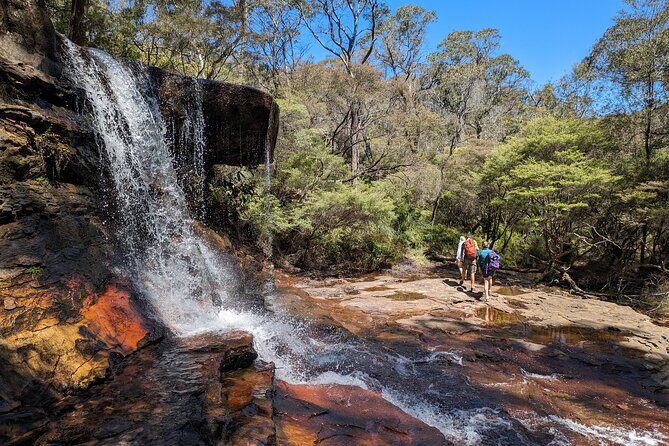 Wilderness, Waterfalls, Three Sisters BLUE MOUNTAINS PRIVATE TOUR - Who Is This Tour Best Suited For?