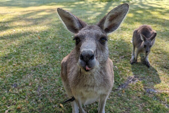 Wilderness, Waterfalls, Three Sisters BLUE MOUNTAINS PRIVATE TOUR - Final Thoughts