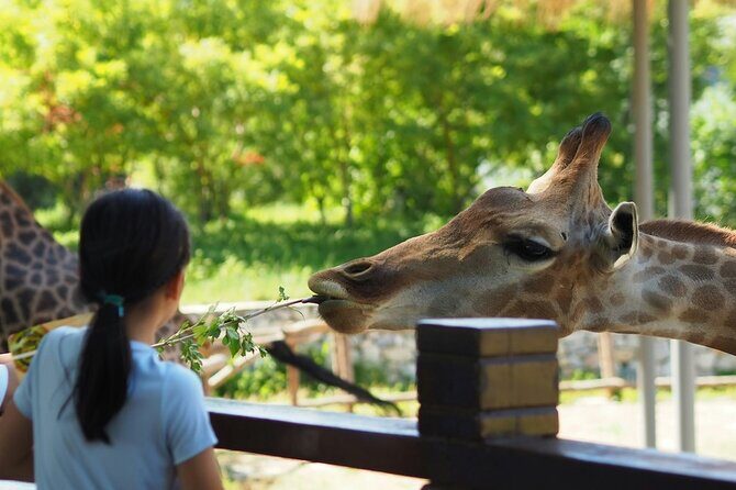 Wildlife and Ancient Expedition Tour in Teotihuacan Safari - Why This Tour Makes Sense