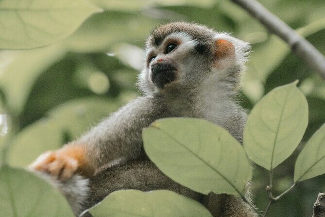 Wildlife and Ancient Expedition Tour in Teotihuacan Safari - Final Thoughts