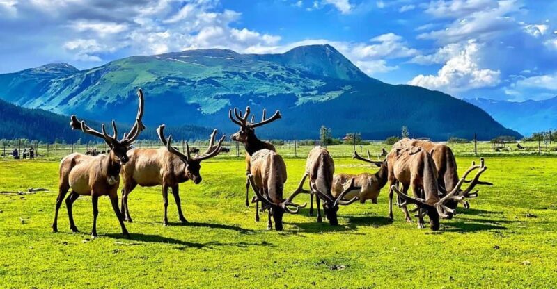 Wildlife Center with Lunch & Local Beer Sampling - The Itinerary in Detail