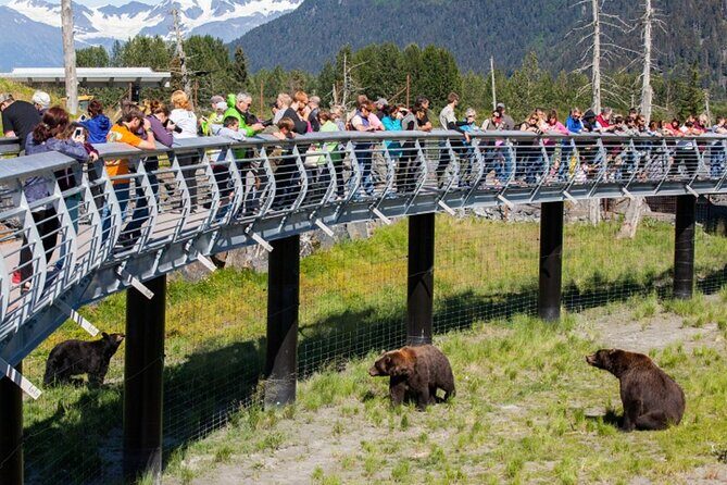 Wildlife Conservation Center and Portage Glacier Lake Viewing - What’s Included and What to Know