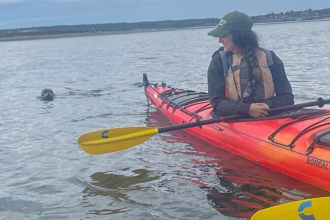 Wildlife Kayak Tour at Fort Flagler State Park - Key Points