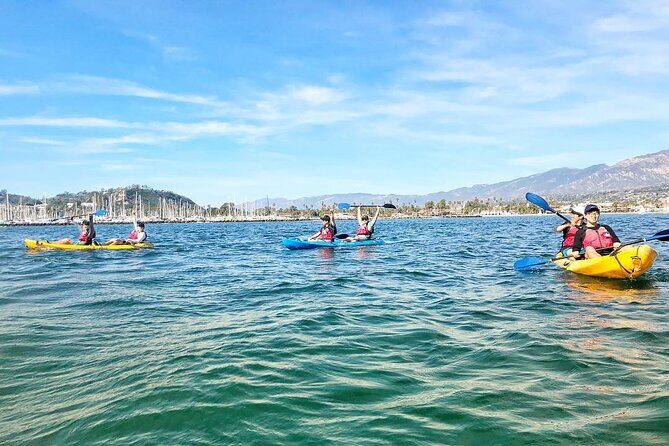 Wildlife Kayak Tour in Santa Barbara Harbor (2 Hours) - FAQ