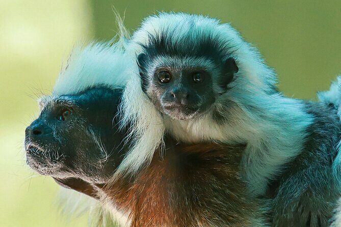 Wildlife Learning Adventure and Snorkeling in Akumal - Final Thoughts: Is This Tour Worth It?