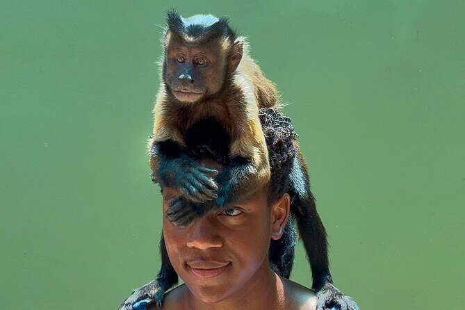 Wildlife Learning Adventure and Snorkeling in Akumal - The Sum Up