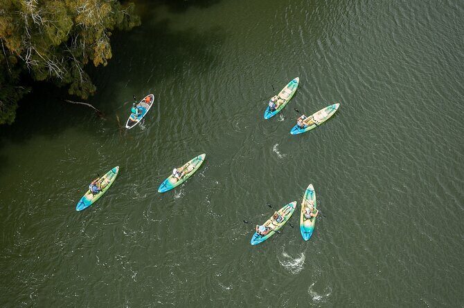 Wildlife Refuge Bio Comb Jelly Sunset Kayak or Paddleboard Tour! - Final Thoughts