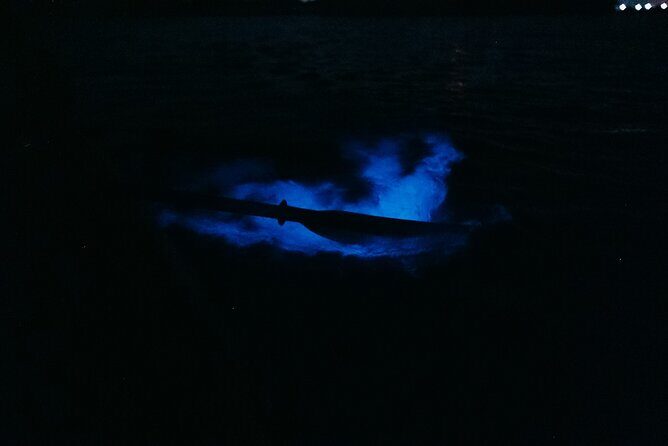 Wildlife Refuge Bioluminescent Kayak or Paddleboard Tour! - A Deep Dive into the Bioluminescent Experience