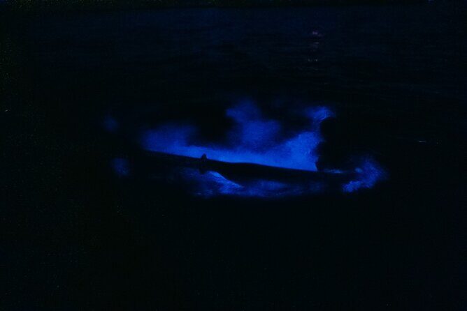 Wildlife Refuge Bioluminescent Kayak or Paddleboard Tour! - FAQs